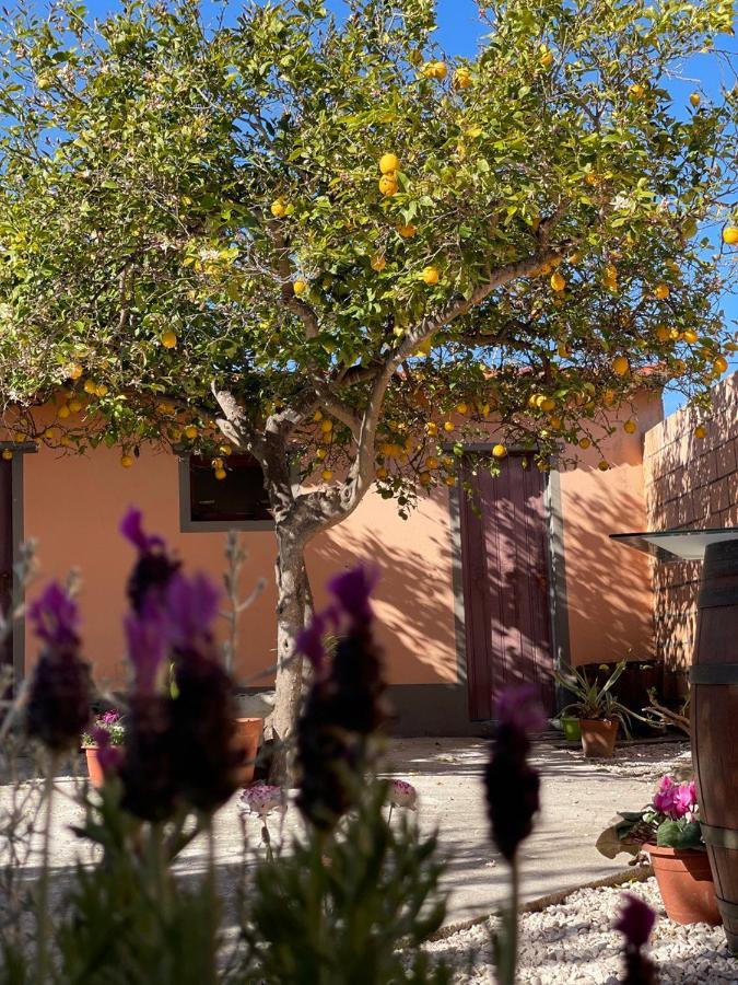 Su Fassoi Cabras Bed & Breakfast Eksteriør bilde